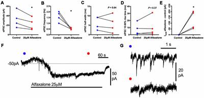 <mark class="highlighted">Alfaxalone</mark> Causes Reduction of Glycinergic IPSCs, but Not Glutamatergic EPSCs, and Activates a Depolarizing Current in Rat Hypoglossal Motor Neurons